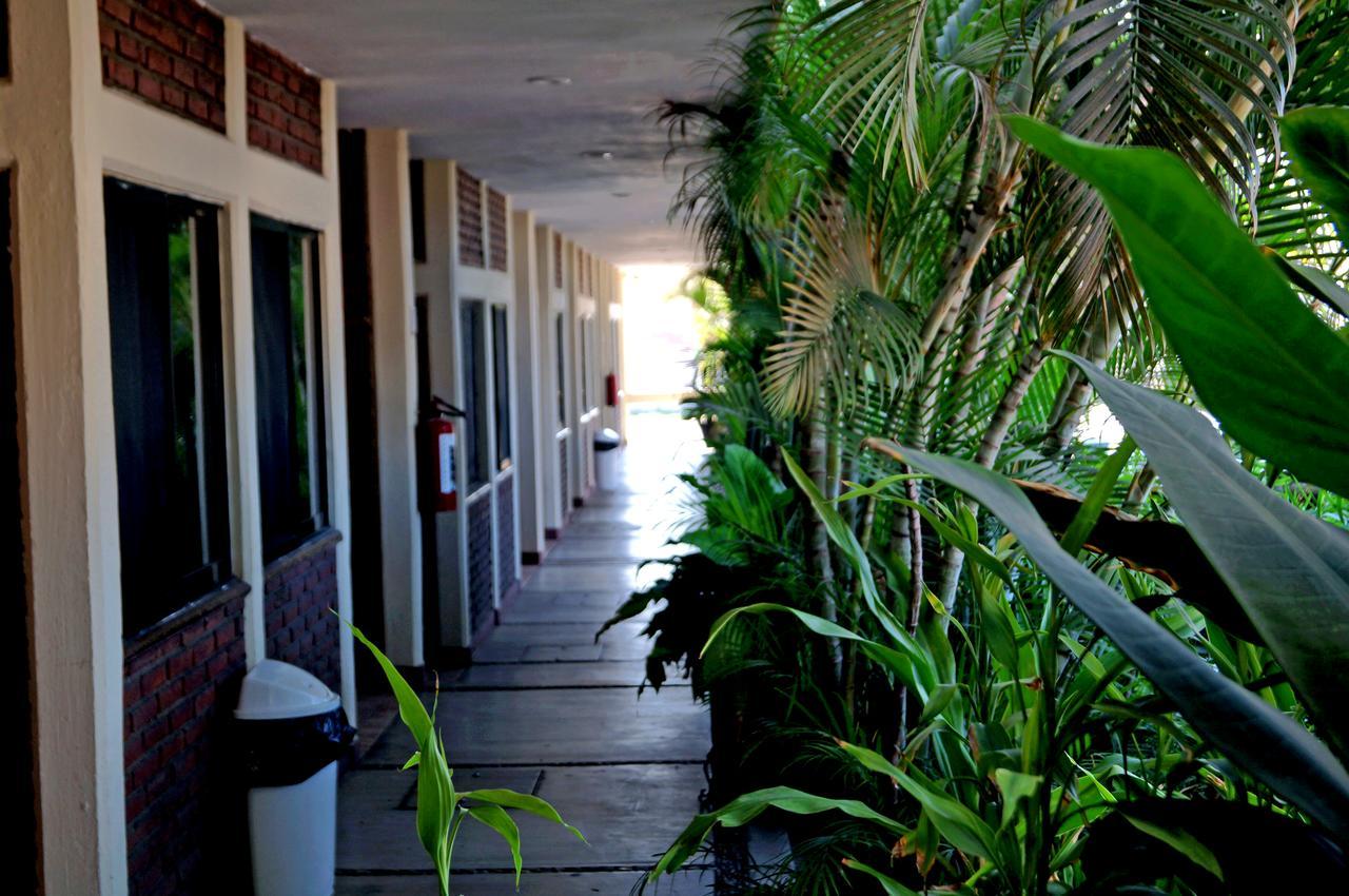 Hotel La Palapa Mazatlán Buitenkant foto